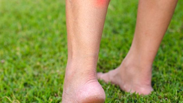 Скрытые возможности зубной пасты. 16 невероятных лайфхака с зубной пастой. А вы об этом знали? смотреть онлайн