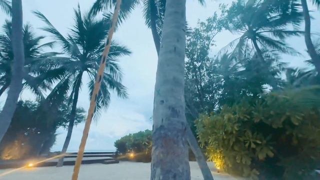 Maldives in May, still great experience смотреть онлайн
