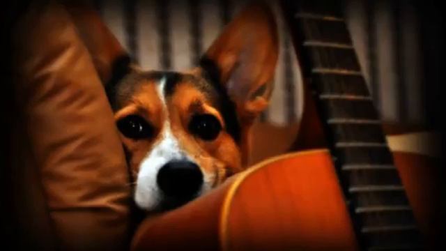 красивая музыка слушать онлайн бесплатно смотреть смотреть онлайн