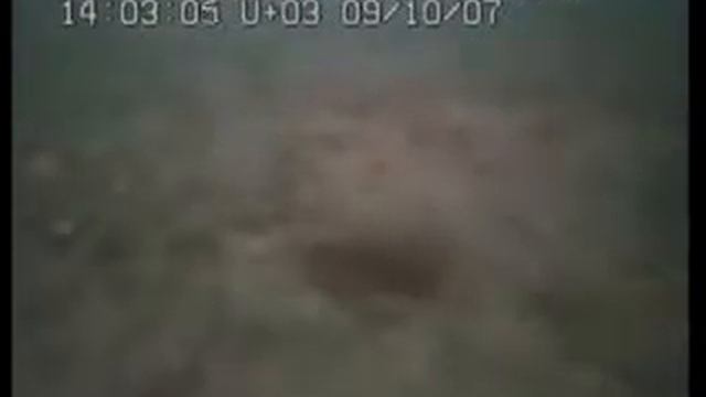 Habitat Classification  GT55