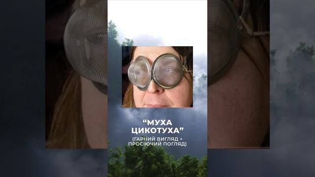 Топ 3 окуляр на літо! #рекомендации #youtubeshorts #лето #очки #мода смотреть онлайн