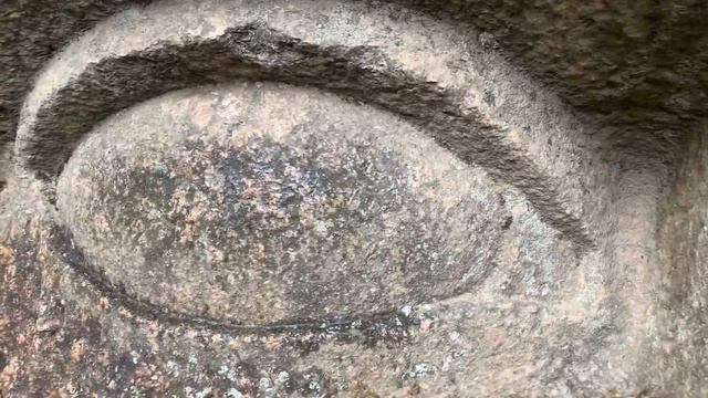 Sergievka Park. Peterhof. Парк Сергиевка. Петергоф.