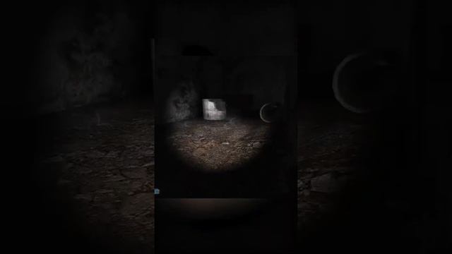 СТАЛКЕР ТЧ - идеальная память #shorts смотреть онлайн