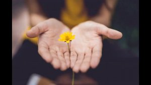 Медитация  Прощения