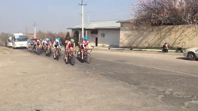 Тренировка Алмалык смотреть онлайн