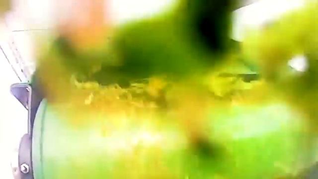 Измельчитель стеблей и растительных остатков для промышленных теплиц (био чоппер) смотреть онлайн