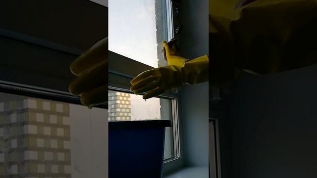 Бриллиантовая уборочка