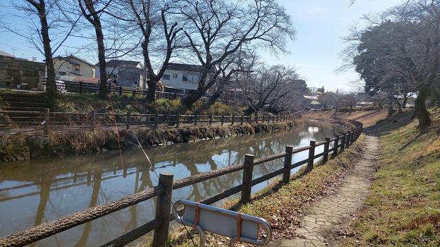 Personal Best Koi and Fly Fishing Success Before the Moat is Closed to Fishing смотреть онлайн