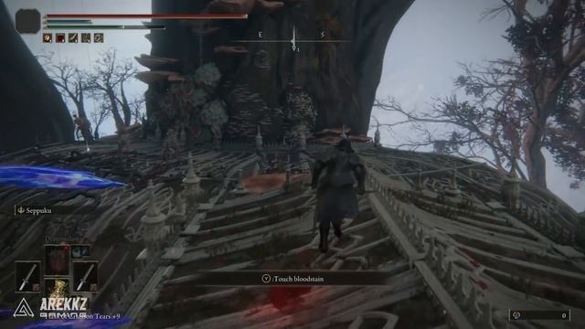 Elden Ring | How to Get to Haligtree + Ordinia Evergaol Guide & Malenia Boss Location Guide смотреть онлайн
