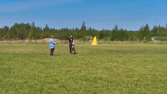 Blackberry Hause Alterra, IGP 1,лобовая