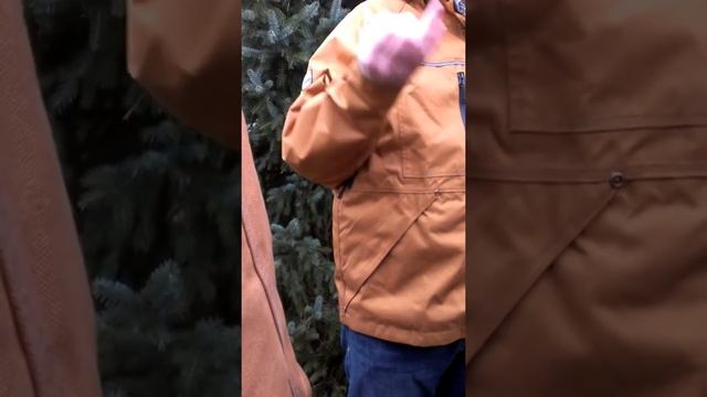 Picea omorika (Serbian Spruce) смотреть онлайн