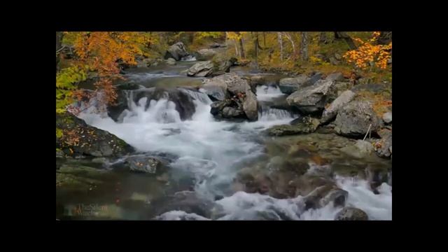 С днем рождения, ЮРИЙ АЛЕКСАНДРОВИЧ! смотреть онлайн
