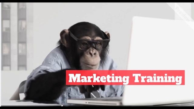 William Freedmans Marketing Training смотреть онлайн