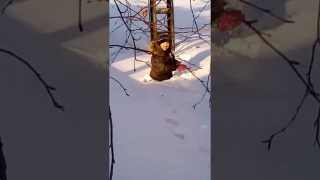 Влог 4: Паркур :) (часть 1)