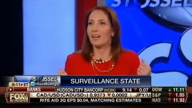 Schaeffer • The Good, The Bad, The Ugly of 2013 • Stossel (12.19.2013) смотреть онлайн