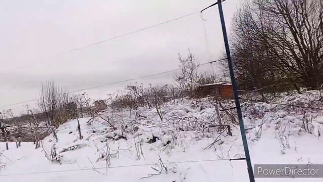 Ловля певчих птиц после снегопада. щегол снегирь. 05.12.2021 смотреть онлайн