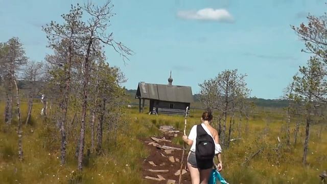 Озеро Каменское в Новгородской области | Lake Kamenskoe in the Novgorod region смотреть онлайн