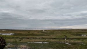 Охота весной на гуся. Поехали на каракате. #Охота #Рыбалка #Путешествия