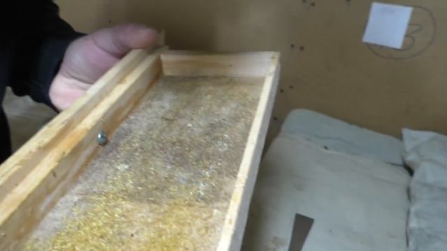 Смотровой улей 7.12.2020 смотреть онлайн