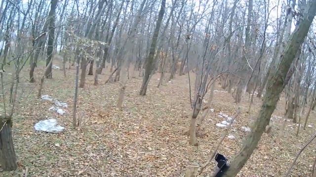 НЕ ПОВЕРИЛИ ГЛАЗАМ КОГДА НАШЛИ БОЛЬШАЯ МОНЕТА РАЗМЕР РУКИ ЕЕ ВОЗРАСТ 2500 ЛЕТ смотреть онлайн