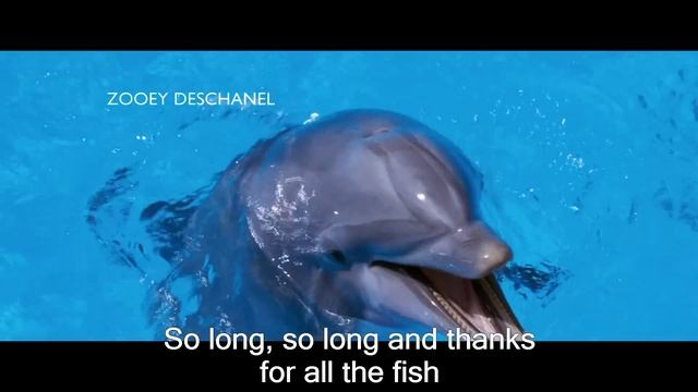 So Long, And Thanks For All The Fish from The Hitchhiker's Guide to the Galaxy 2005 смотреть онлайн