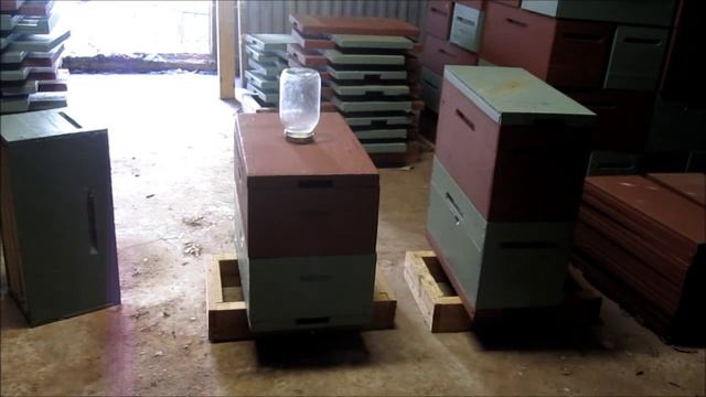 7 Frame Medium Langstroth Hives and Why. смотреть онлайн