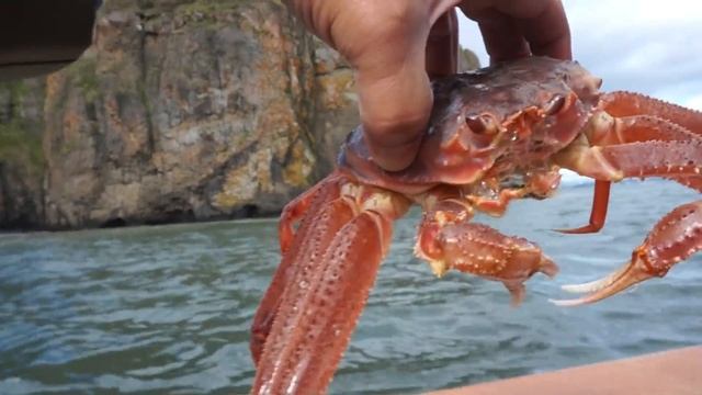 Камчатка крабы камбала китайцы корейцы карашо смотреть онлайн