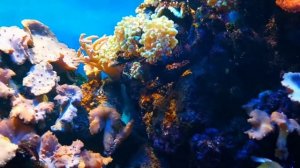 Отель Венеция Кисловодск