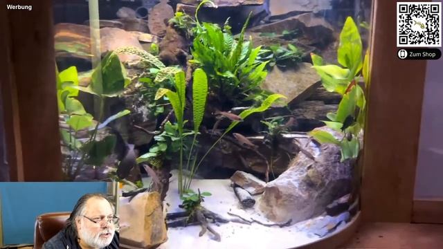 LIVE - Mitglieder-Special #141. Der Aquarium-Profi hilft. Jeder kann mitmachen смотреть онлайн
