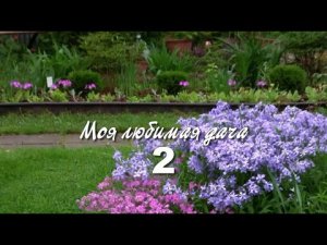 Моя любимая дача 2.  Дачные картинки.