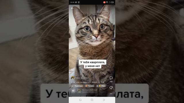 Почему так грустно? смотреть онлайн
