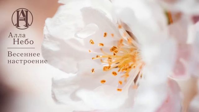 Alla Nebo - Vesennee nastroenie смотреть онлайн