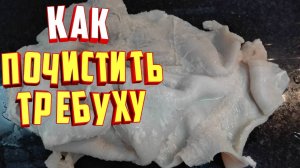 Как почистить требуху. Быстрым способом