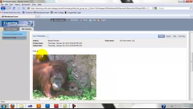 BB Image Upload.mp4 смотреть онлайн
