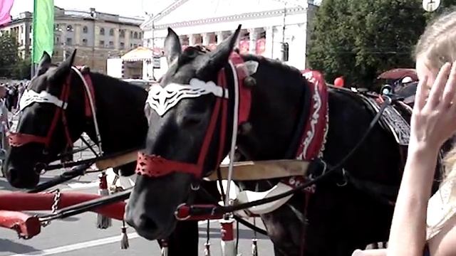 День Города в Воронеже. Лошадки.MPG смотреть онлайн