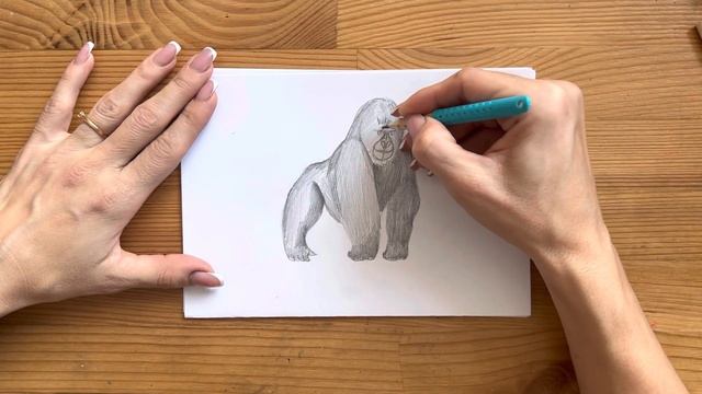 Как нарисовать гориллу карандашом | Рисунок для начинающих поэтапно смотреть онлайн