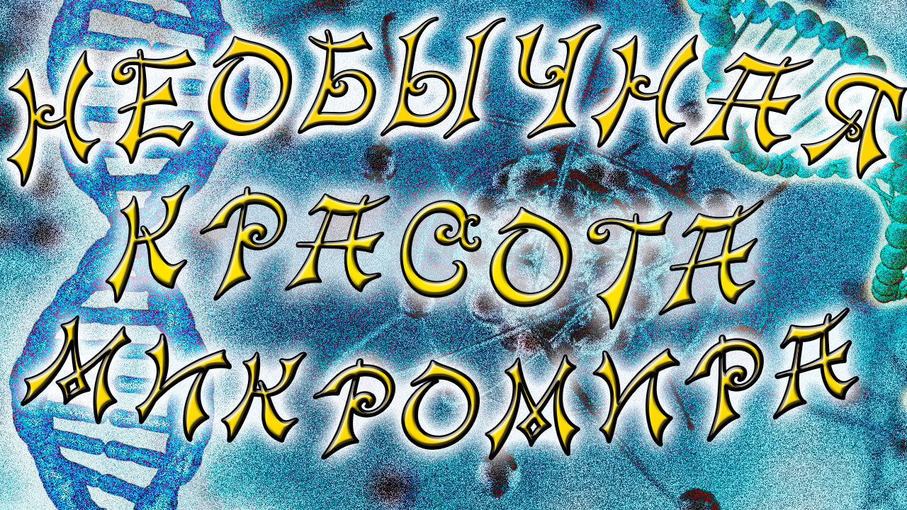 Необычная красота микромира. Интересное видео под микроскопом.