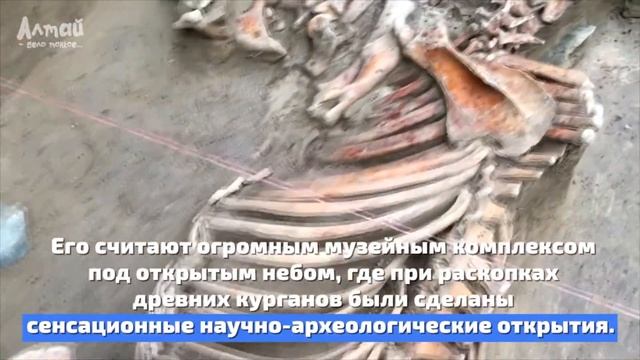 ТУРИСТИЧЕСКИЙ ВОСТОК: Берельский царский курган