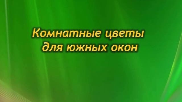 Комнатные растения для каждой стороны света. Северные, южные, восточные и западные окна. смотреть онлайн