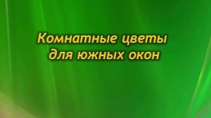 Комнатные растения для  каждой стороны света. Северные, южные, восточные и западные окна.