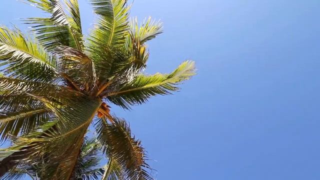 Музыка ДЗИ для души для сна Полное расслабление после напряженного рабочего дня смотреть онлайн