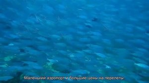 О минусах жизни в Словении