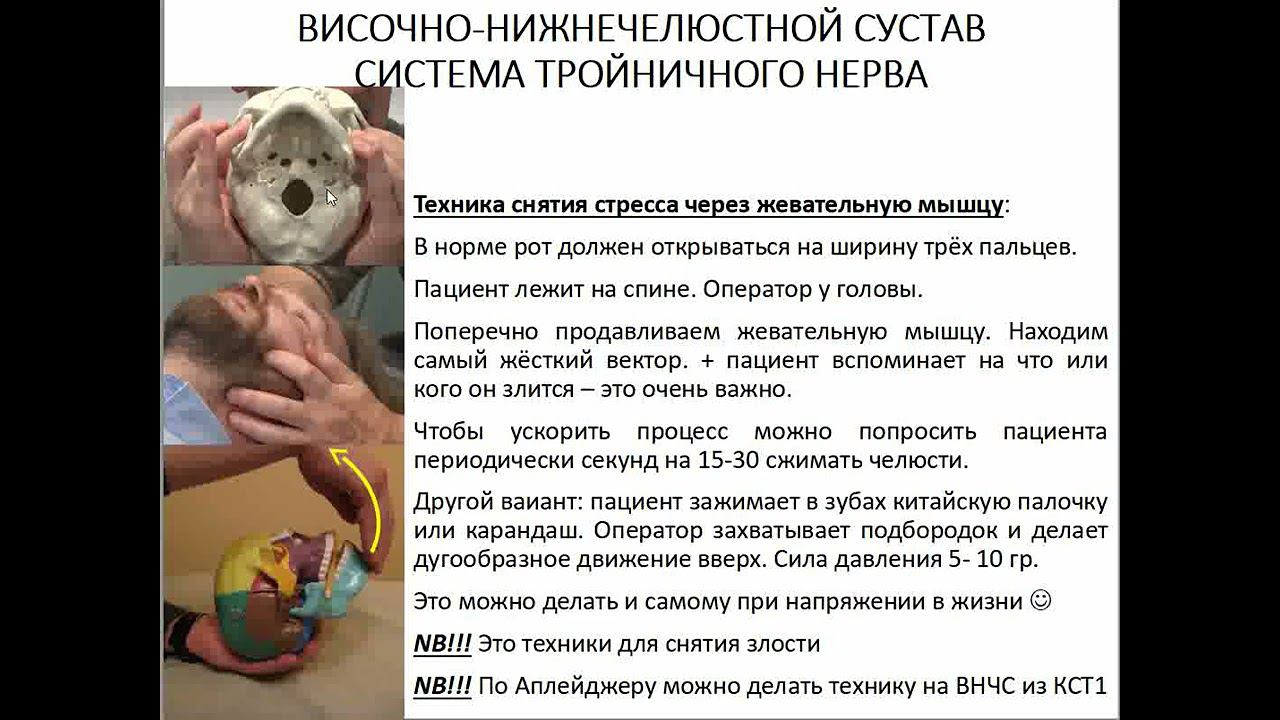 08 Семинар ЛИЦЕВОЙ ЧЕРЕП височно нижнечелюстной сустав, система тройничного нерва смотреть онлайн
