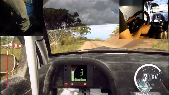 Skoda Fabia WRC Game Play- Dirt Rally 2.0 DLC highlight (Wheel cam) смотреть онлайн