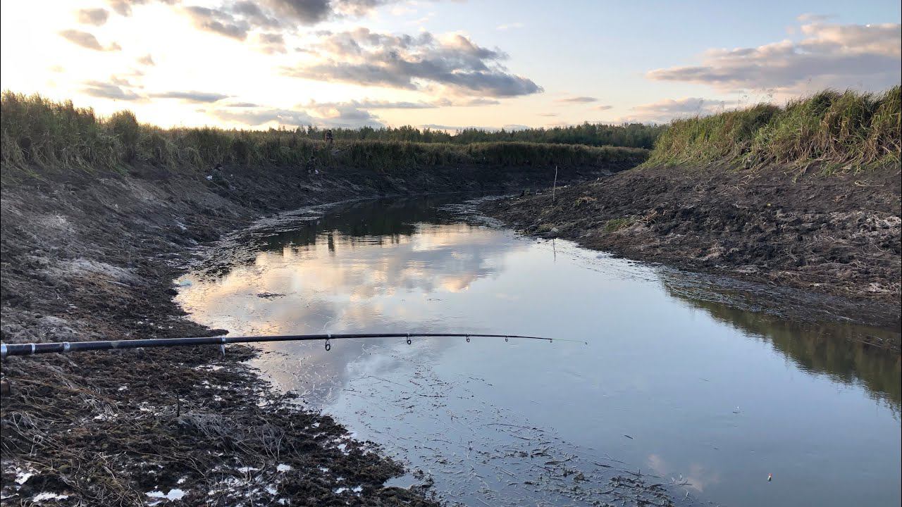 Ручей с КАРПАМИ / Осеняя рыбалка на КАРПА смотреть онлайн