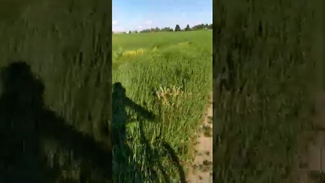 когда-то в июне 2019 года........ смотреть онлайн