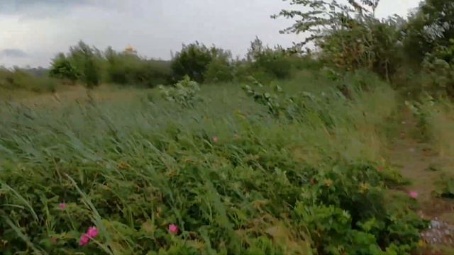 Нудиский пляж Ярославль Заволжский рн смотреть онлайн