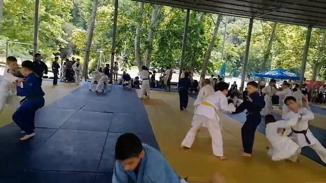 день борьбы агой смотреть онлайн