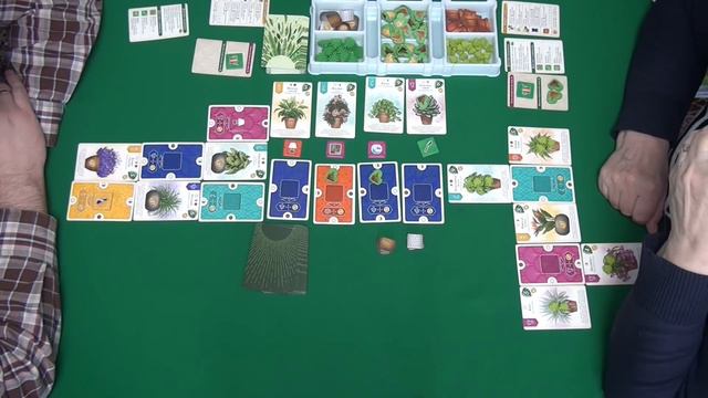 Зелёный дом I Играем в настольную игру. Verdant Board Game.