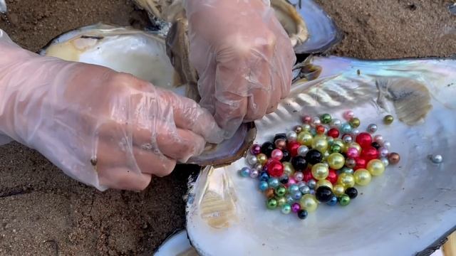 Unexpected surprise, open the mussels to harvest red pearls and a lot of golden pearls смотреть онлайн